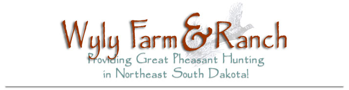 Pheasant Hunting at Wyly Farm and Ranch